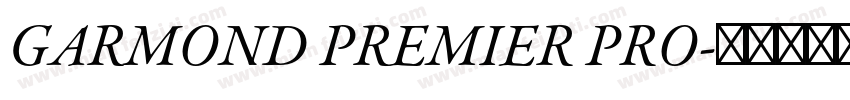 GARMOND PREMIER PRO字体转换